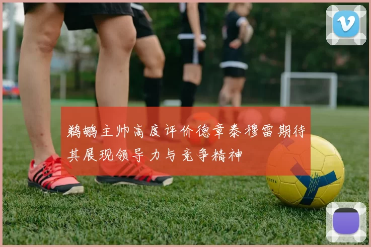 鹈鹕主帅高度评价德章泰穆雷期待其展现领导力与竞争精神