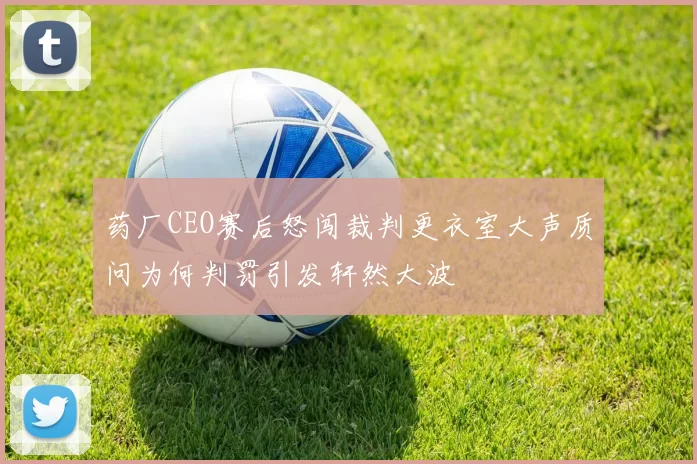 药厂CEO赛后怒闯裁判更衣室大声质问为何判罚引发轩然大波
